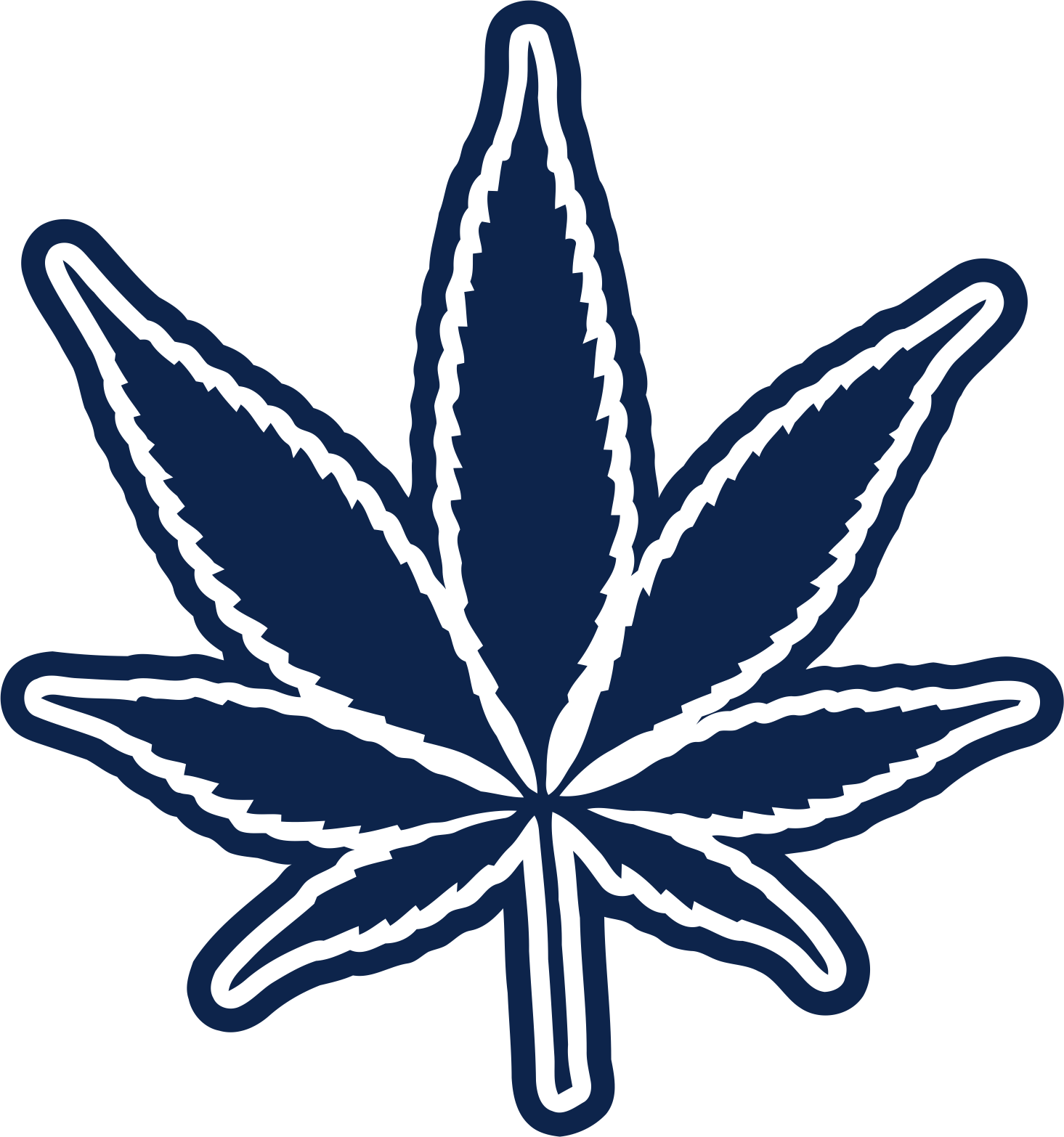 Dallas Cowboys Smoking Weed Logo iron on transfers